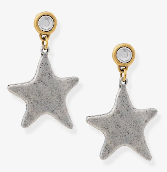 “Star Shine” Two-Tone Star Earrings